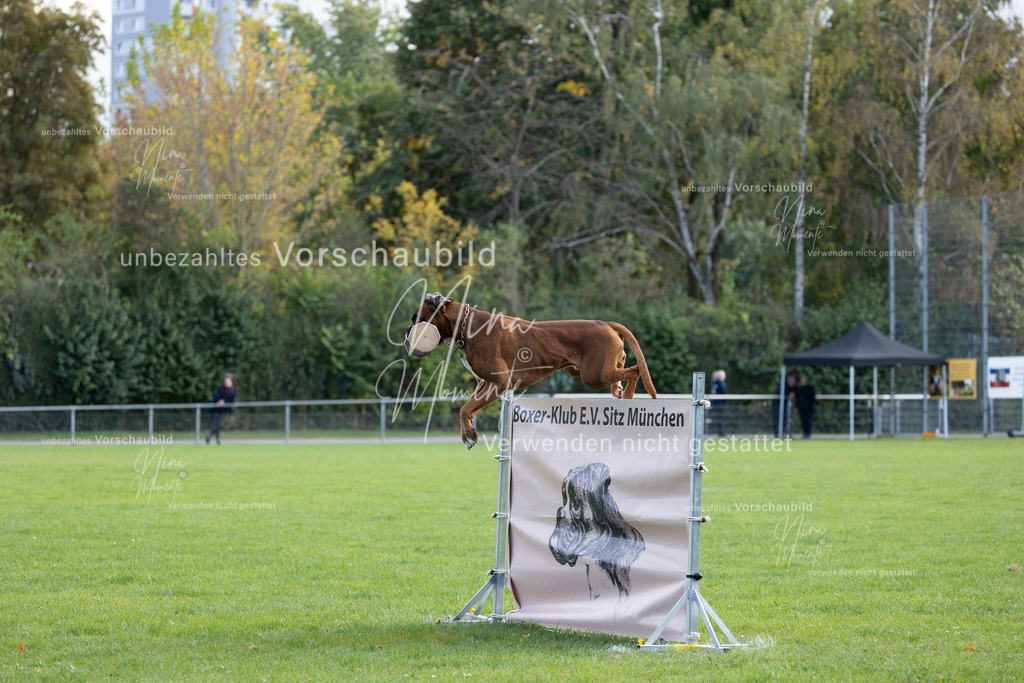 _16A6769 | Einzigartige Fotos von Hunden & Menschen –Actionfotos, Portraits, Vereinsaufnahmen & Paarshootings – authentisch, lebendig & mit Herz.
