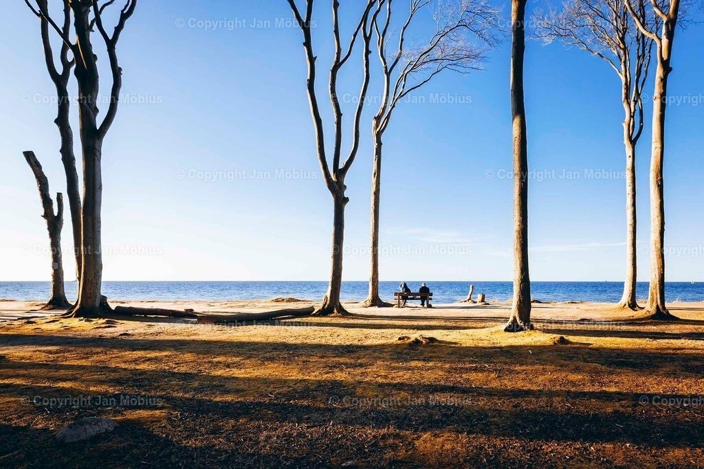 _M5D9335-Verbessert-RR | Leipzig Wandbilder Drucke Prints Leinwand Stadtmotive Leipzig Fotosdruck Kunstdrucke Bilder Leipzig Stadtansichten Acrylglasbilder Leipzig Wanddeko Fine Art Prints Wandbilder Büro Leipzig Bilder Praxis Zuhause Bilderdruck Poster Posterlounge Kunstdrucke - Realisiert mit Pictrs.com