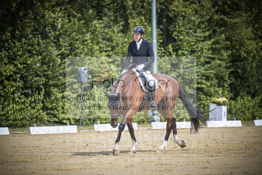 DOS_0765 | Entdecke hochwertige Reitturnierfotos von Foto Oger. Professionell, emotional und authentisch – jetzt Lieblingsmomente im Shop bestellen.Deutschlandweite Turnierfotografie. - Realisiert mit Pictrs.com