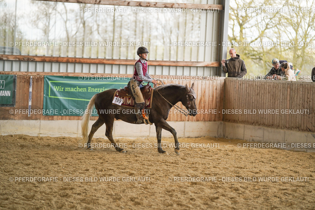 DSC08847 | Pferdegrafie