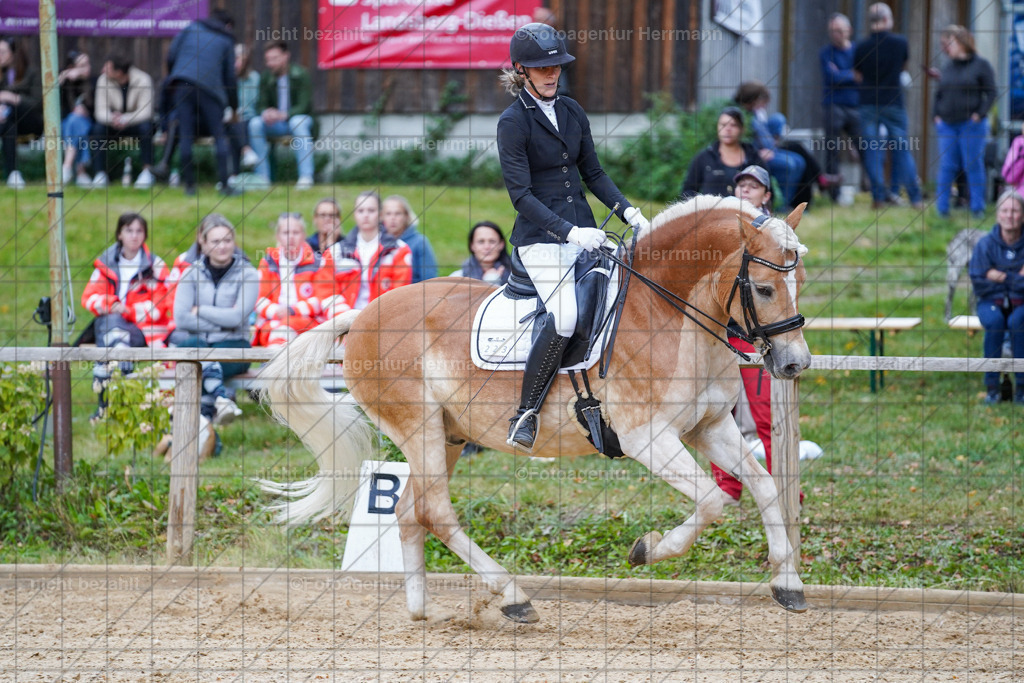 20231007-SN_00824 | Professionelle Turnier- und Reitsportfotografie - mit dem Finger am Auslöser. Pferdebilder aus dem Reitsport von den Turnierfotografen  Bayern , Pferdefotograf Bayern, Pferdeshooting Turnierbilder, Hochzeitsfotograf, Eventfotograf, Hochzeitsbilder