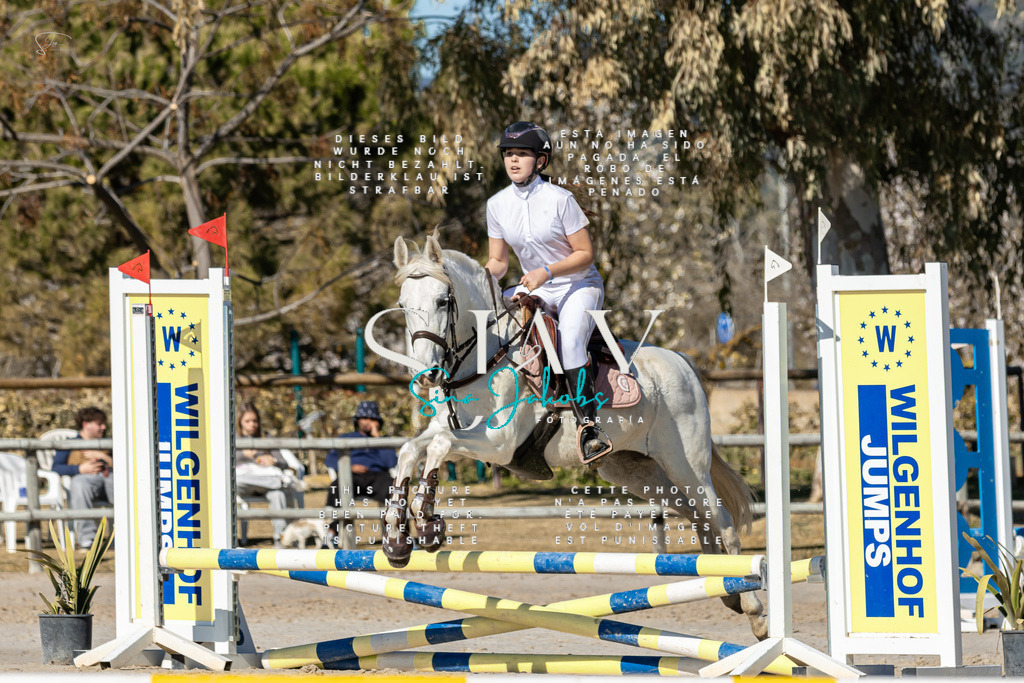 IMG_8582 | s-jay-photography - Realisiert mit Pictrs.com