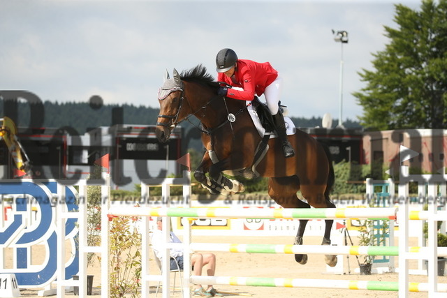 Waldachtal-Salzstetten_2022_Springprüfung_Kl.S_Amateur-Cup_Carolin Hoffmann_Night Light (5) | Alle Fotos der Reiterjournal Fotografin Doris Matthaes im Reiterjournal Online-Fotoshop. - Realisiert mit Pictrs.com