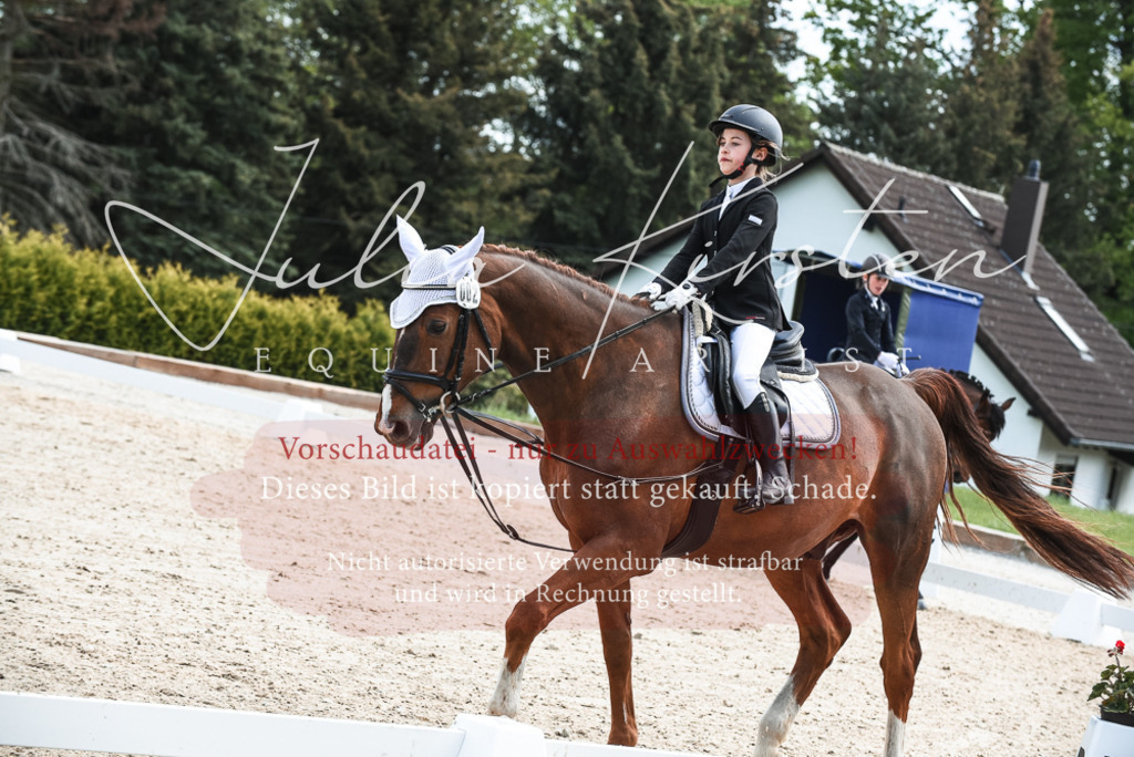 20230518_JK-Röhrsdorf-11-0892 | Pferde- und Turnierfotografie in Westsachsen. Pferdeportraits, Auftragszeichnungen und intuitive Kunst.