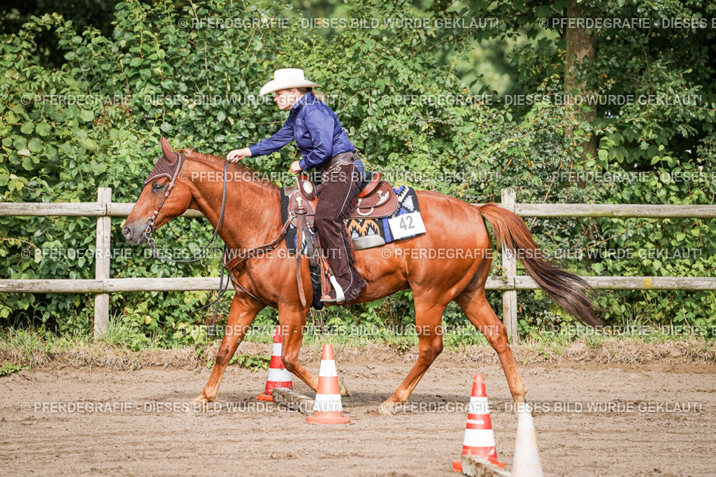 DSC00256 | Pferdegrafie