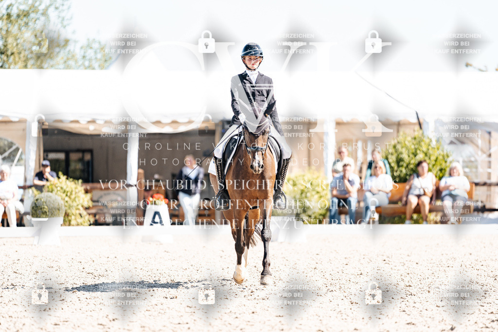 CK909676 | Turnierfotografie Pferdefotografie Trier Rheinland-Pfalz Pferdesport Reitsport Tierfotografie Sportfotografie Pferdevideo Pferdevideografie Equestrianvideography equestrianphotography  - Realisiert mit Pictrs.com