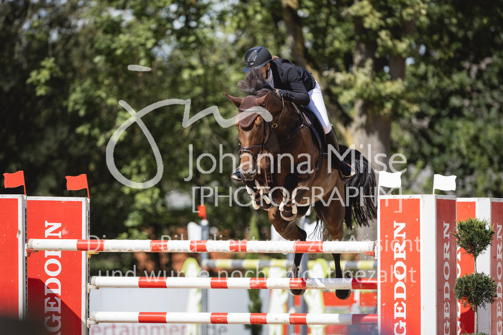 230826_Delbrueck_M2-Spr-816 | Deine schönsten Turniermomente als professionelle Fotos! Entdecke hochwertige Pferdesport-Fotografie im Online-Shop. Jetzt Fotos finden & bestellen!