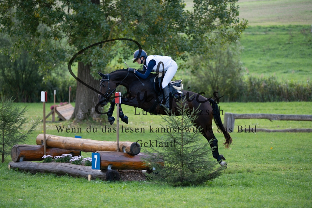 A7V03017 | Pferdefotograf