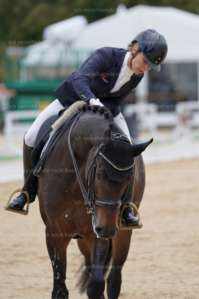 3-241-Dressur M_-Marixx-2204 | working equitationturnier fotograf videograf stoibphotography marixx film working equitation deutschland reitsport turnierfotografie eventfotografie equestrian events