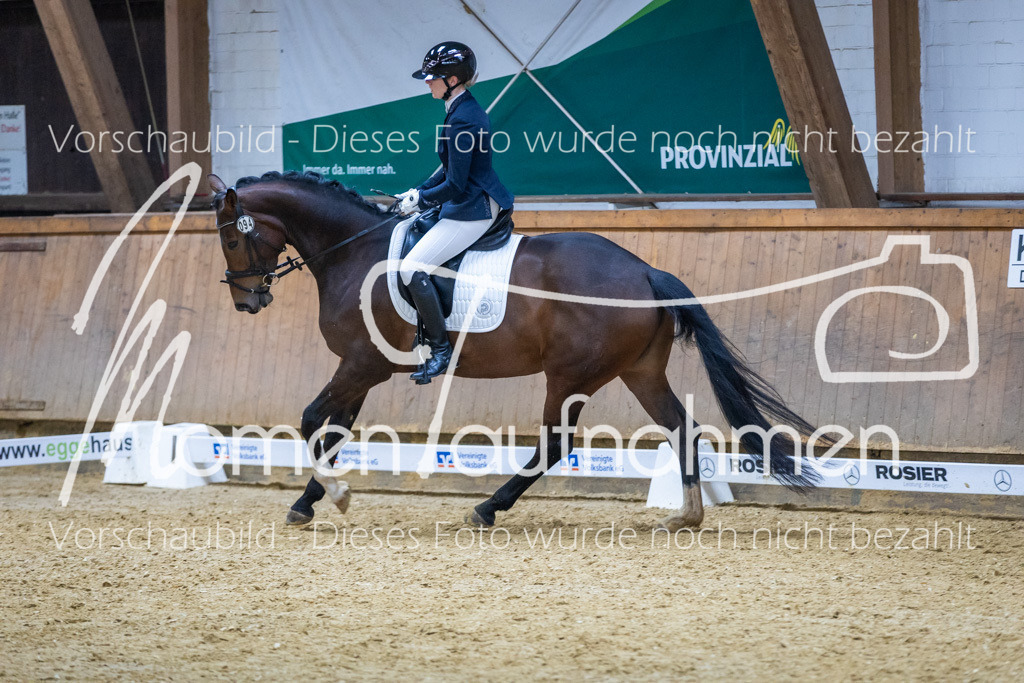 Sth-WBO25-EDr-120 | MomenTaufnahmen Pferdesportfotos