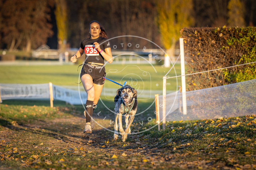 CaniXpix_DV3A5215 | Hundefotografie, Tierfotograf, Pfotenfotografie, Fotoshooting Hund, Hunde Portrait, Hundesport, Hundeportraits, Heideshooting, Hunde, Sportfotograf, Hundefotograf, Turnierhundsport, THS,  - Realisiert mit Pictrs.com