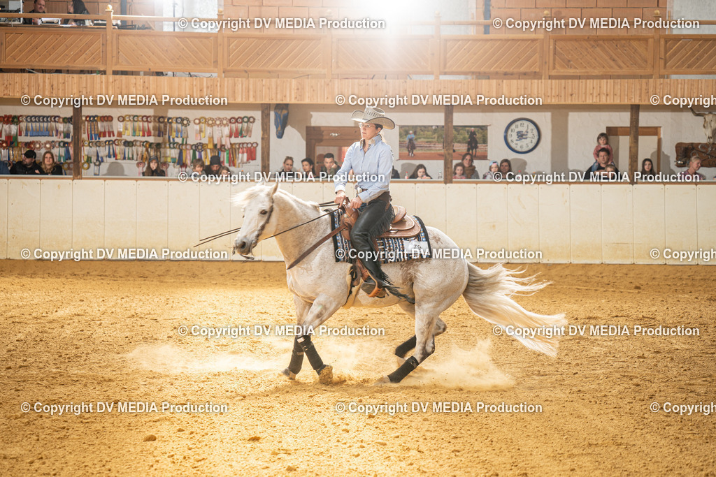 MIT01332 | dv-media-shop - Realisiert mit Pictrs.com