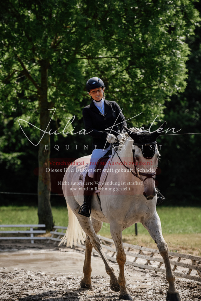 DSC_0354 | Pferde- und Turnierfotografie in Westsachsen. Pferdeportraits, Auftragszeichnungen und intuitive Kunst.