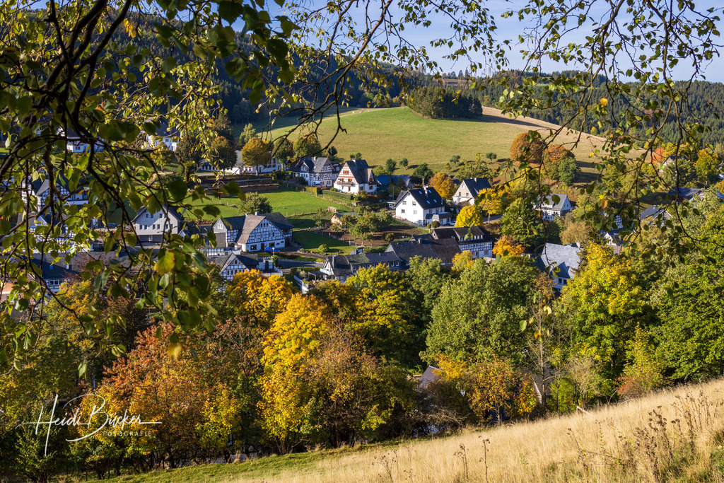 Westfeld und Umgebung 081 | Bilder und Impressionen zu jeder Jahreszeit aus dem Sauerland im Naturpark Sauerland-Rothaargebirge - Realisiert mit Pictrs.com