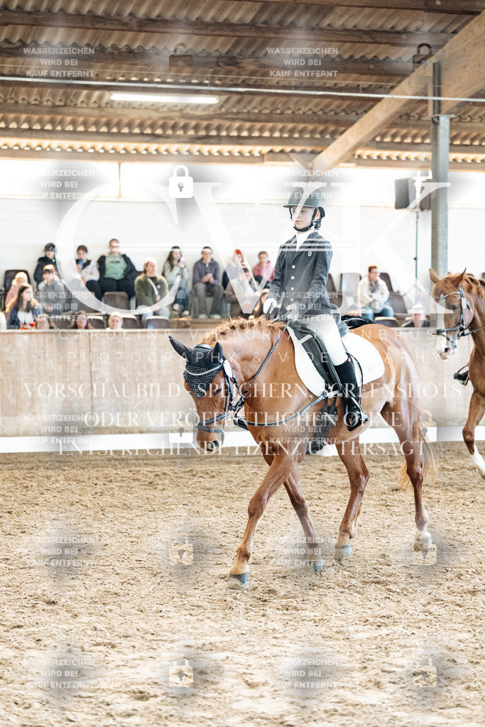 CK909980 | Turnierfotografie Pferdefotografie Trier Rheinland-Pfalz Pferdesport Reitsport Tierfotografie Sportfotografie Pferdevideo Pferdevideografie Equestrianvideography equestrianphotography  - Realized with Pictrs.com