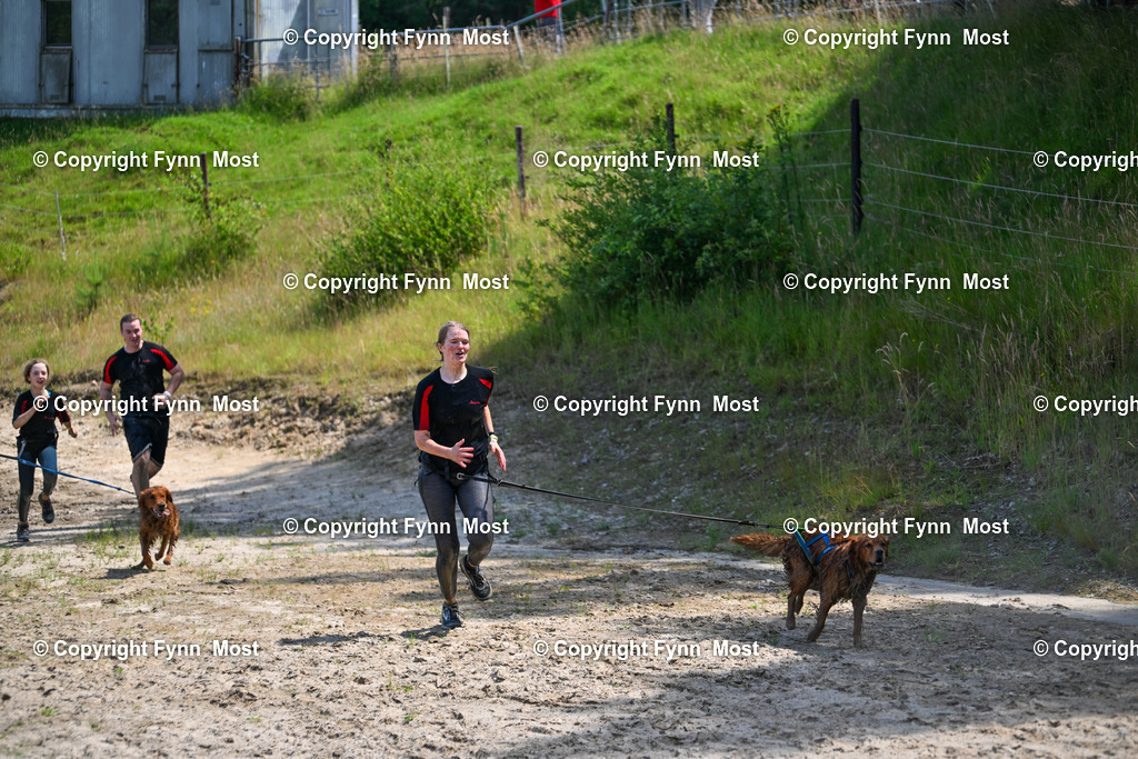 DSC_4771 | Hallo und herzlich Willkommen auf meiner Shop-Seite Fynn Most.

Ich wünsche Dir viel Spaß beim stöbern durch die Bilder, wenn Du Fragen hast oder Bilder vermisst, kannst du mir gerne eine Nachricht schreiben. - Realisiert mit Pictrs.com