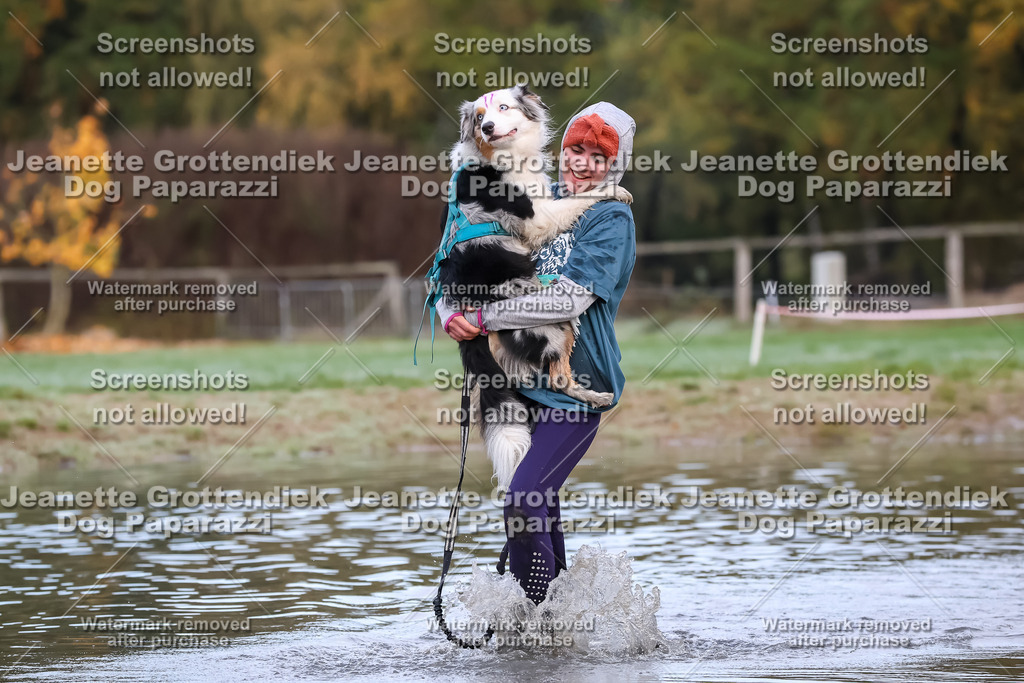 Dog Paparazzi - Strongdog 10-25-6439 | Dog Paparazzi Jeanette Grottendiek Fotografie & Videografie - Realisiert mit Pictrs.com