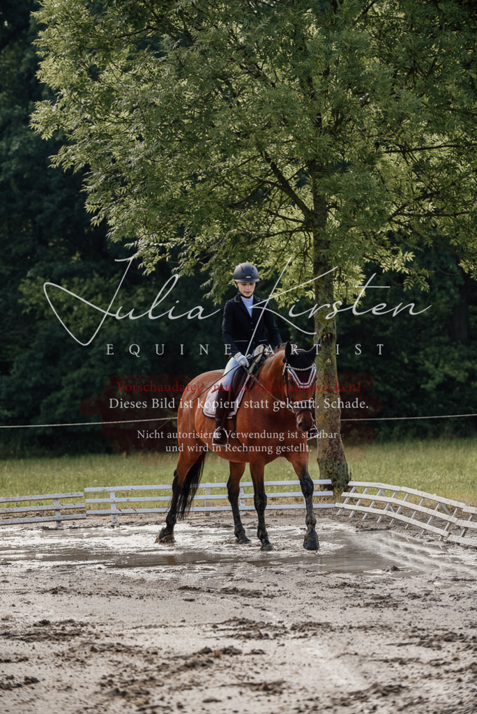 DSC_8095 | Pferde- und Turnierfotografie in Westsachsen. Pferdeportraits, Auftragszeichnungen und intuitive Kunst.