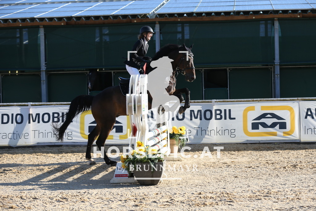 DL2Q7345 | Willkommen bei Brunnmayr - Design & Fotografie – Ihrem Spezialisten für Reitturniere und Pferdeveranstaltungen in Oberösterreich, Salzburg und Bayern! Seit über 17 Jahren sind wir leidenschaftlich dabei.