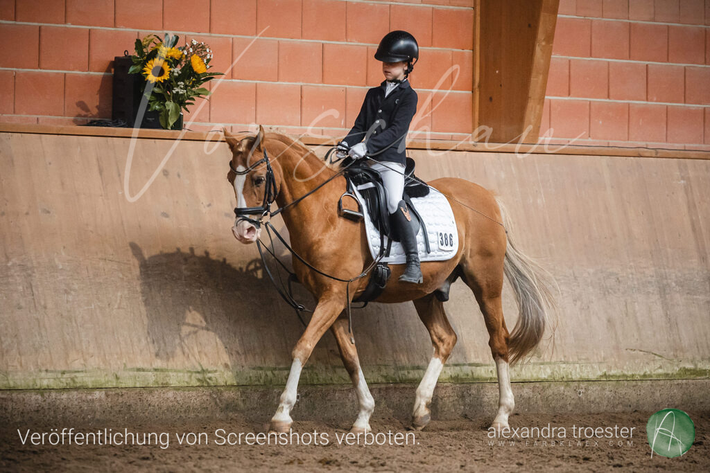 _MG_0902 | farbklaex.com