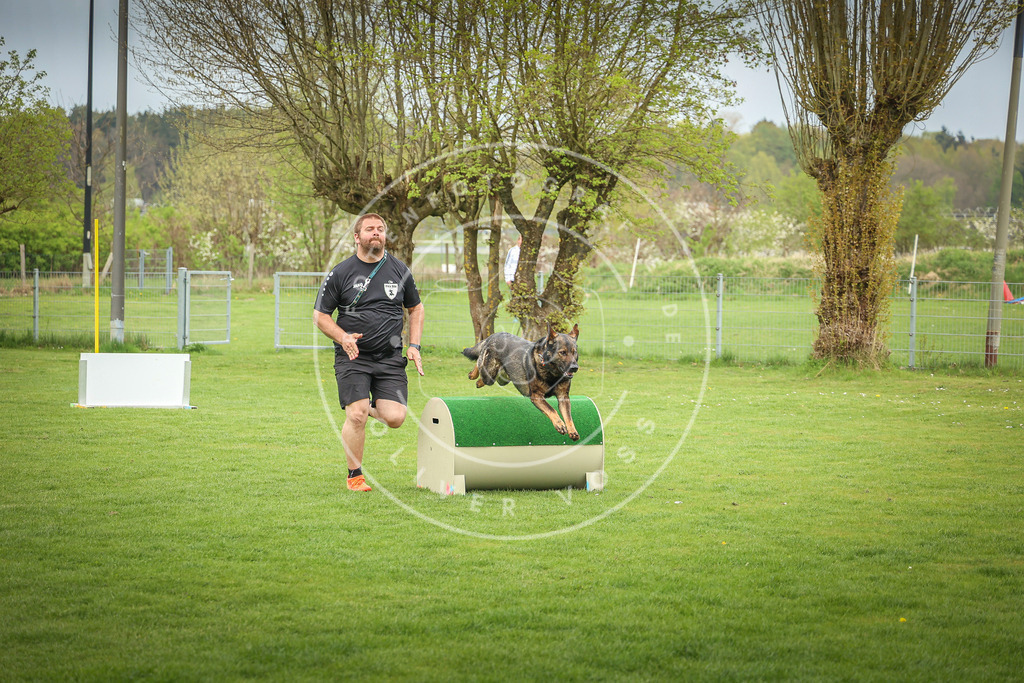 Pfotenfotografie_0L8A9699 | Hundefotografie, Tierfotograf, Pfotenfotografie, Fotoshooting Hund, Hunde Portrait, Hundesport, Hundeportraits, Heideshooting, Hunde, Sportfotograf, Hundefotograf, Turnierhundsport, THS,  - Realisiert mit Pictrs.com