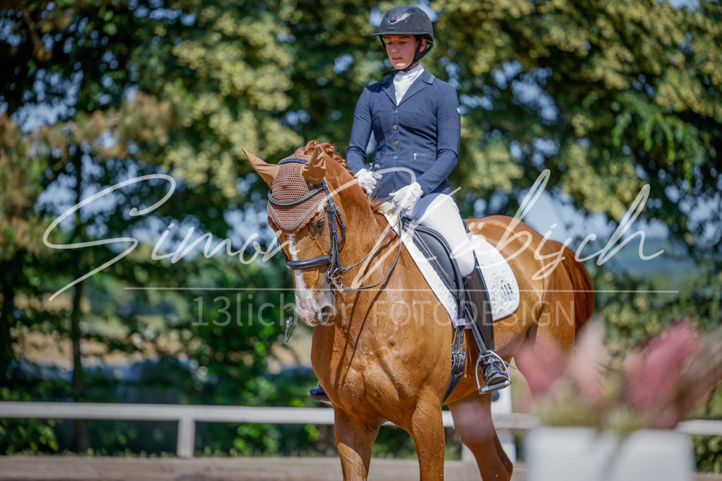 20250621-_3LI9014 | Tierfotografie Pferde, Hunde, Katzen, Haustiere.
Turnierfotografie Reitturniere, Reiten, Springreiten, Dressur in Hanau, dem Main-Kinzig-Kreis und dem Rhein-Main- Gebiet um Frankfurt