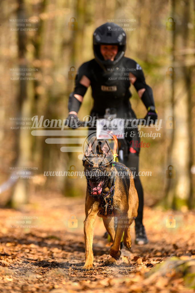 MompixPhotography_Habay2025_SA_SCO-64 | PayLife