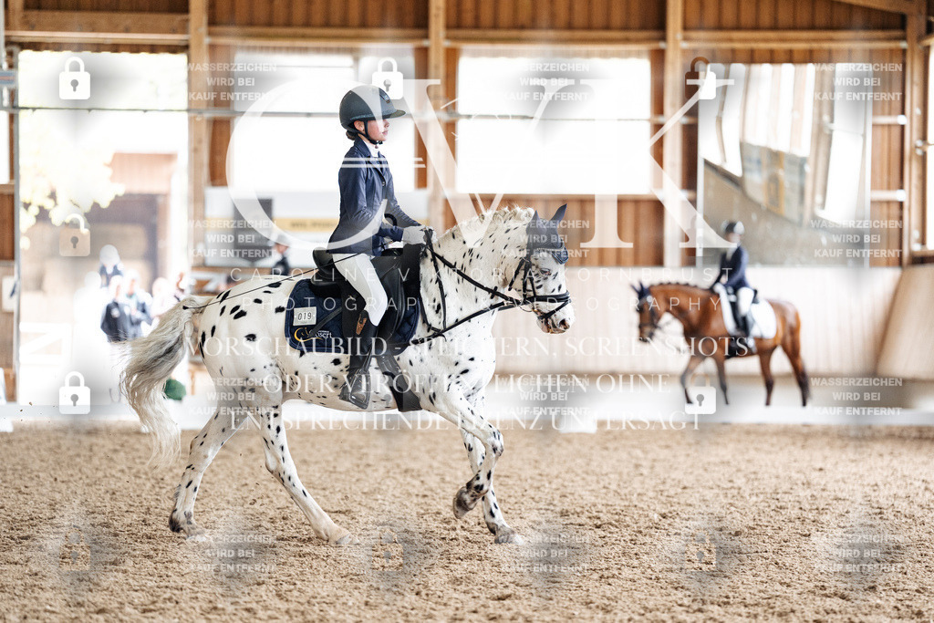 CK901417 | Turnierfotografie Pferdefotografie Trier Rheinland-Pfalz Pferdesport Reitsport Tierfotografie Sportfotografie Pferdevideo Pferdevideografie Equestrianvideography equestrianphotography  - Realisiert mit Pictrs.com