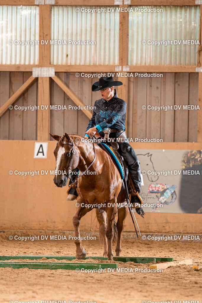 Losheim Tag 2-239 | dv-media-shop - Realisiert mit Pictrs.com