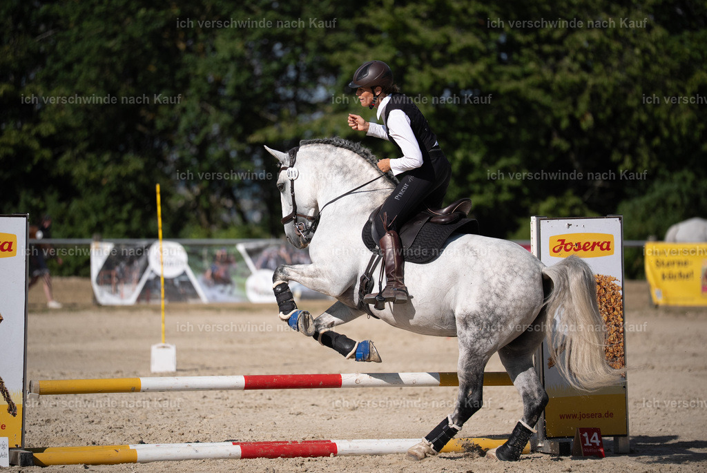 WS_SP_11_Stoibphotography_SO11618 | working equitationturnier fotograf videograf stoibphotography marixx film working equitation deutschland reitsport turnierfotografie eventfotografie equestrian events