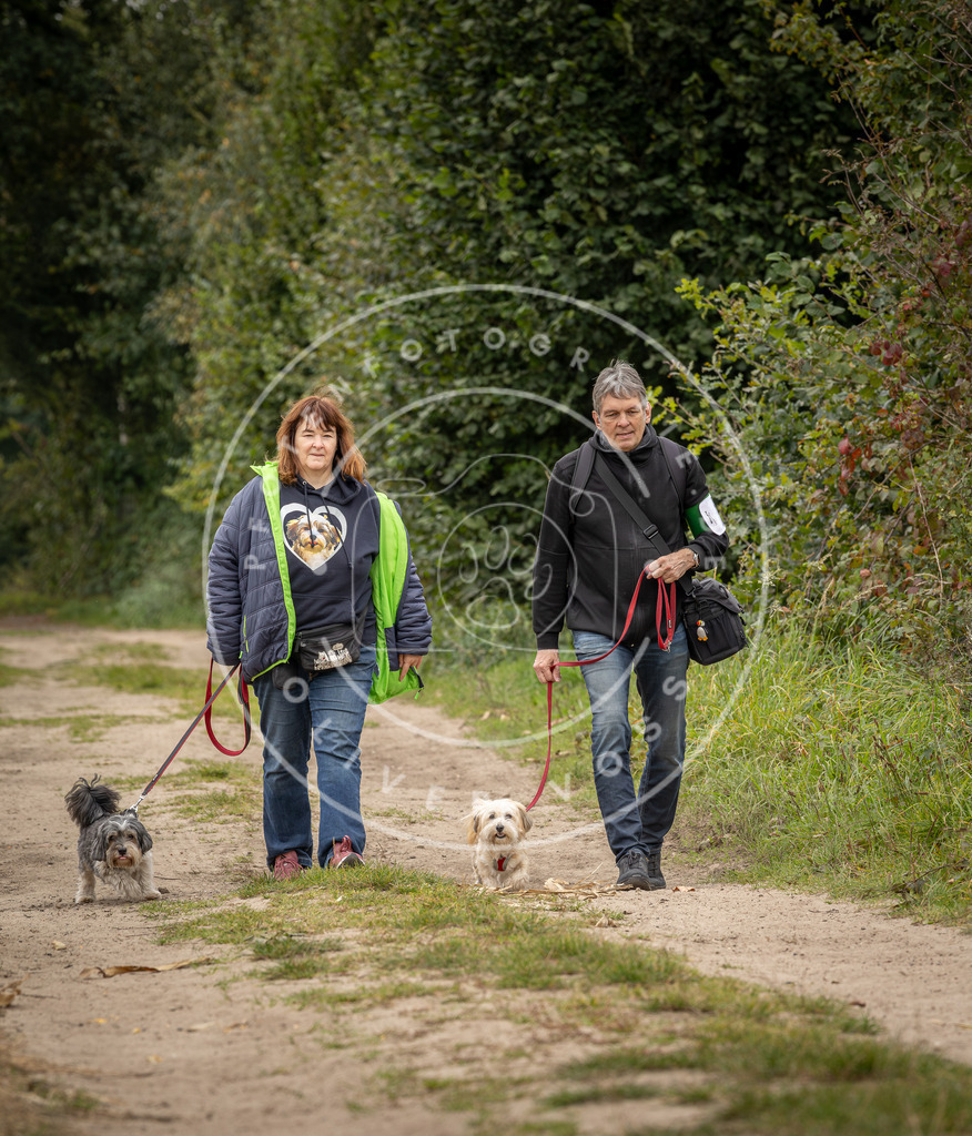 Pfotenfotografie_DV3A8591 | Hundefotografie, Tierfotograf, Pfotenfotografie, Fotoshooting Hund, Hunde Portrait, Hundesport, Hundeportraits, Heideshooting, Hunde, Sportfotograf, Hundefotograf, Turnierhundsport, THS,  - Realisiert mit Pictrs.com