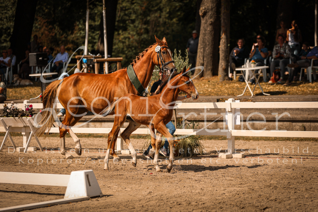 07.DoWBS00142 | Leoni Ertmer Photography - Realisiert mit Pictrs.com