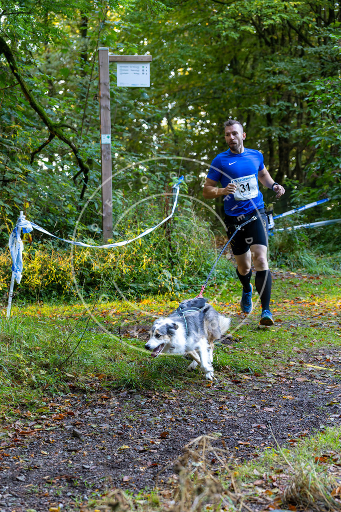 Pfotenfotografie_DV3A6665 | Hundefotografie, Tierfotograf, Pfotenfotografie, Fotoshooting Hund, Hunde Portrait, Hundesport, Hundeportraits, Heideshooting, Hunde, Sportfotograf, Hundefotograf, Turnierhundsport, THS,  - Realisiert mit Pictrs.com
