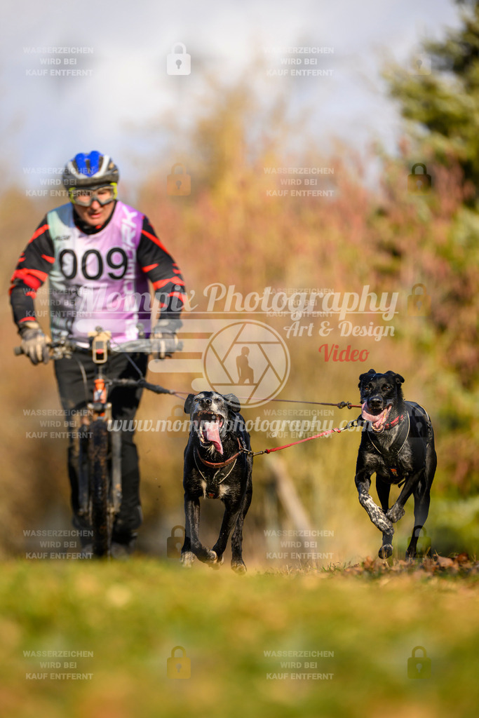 MompixPhotography_10Schwabentrail2026_SO_Scooter-19 | PayLife
