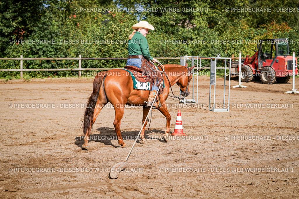 DSC00212 | Pferdegrafie