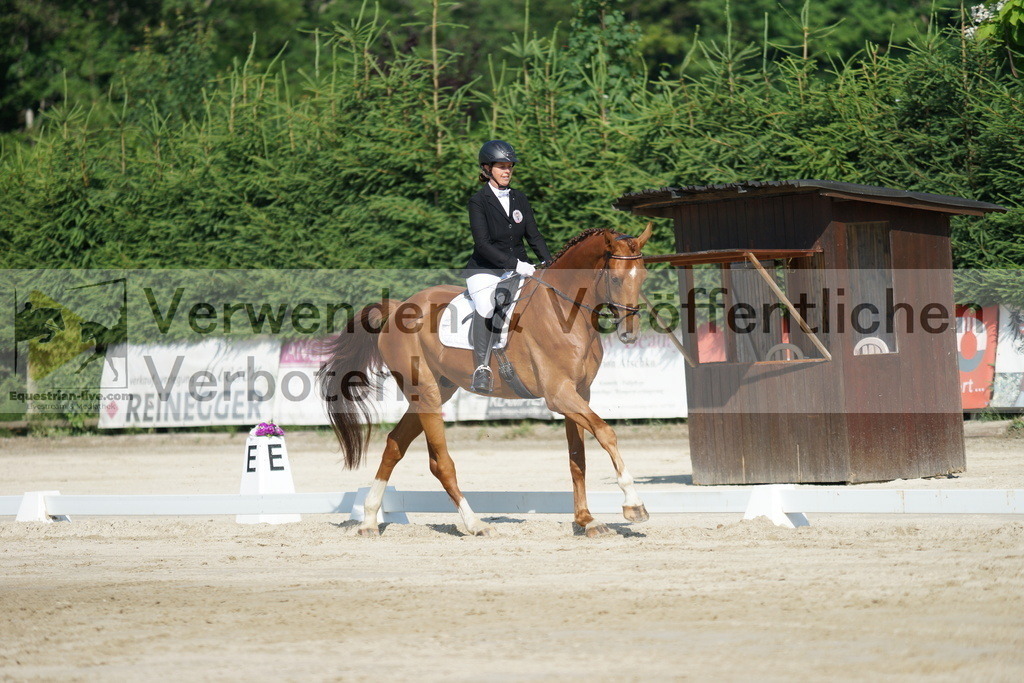DSC01363 | equestrian-live-com
