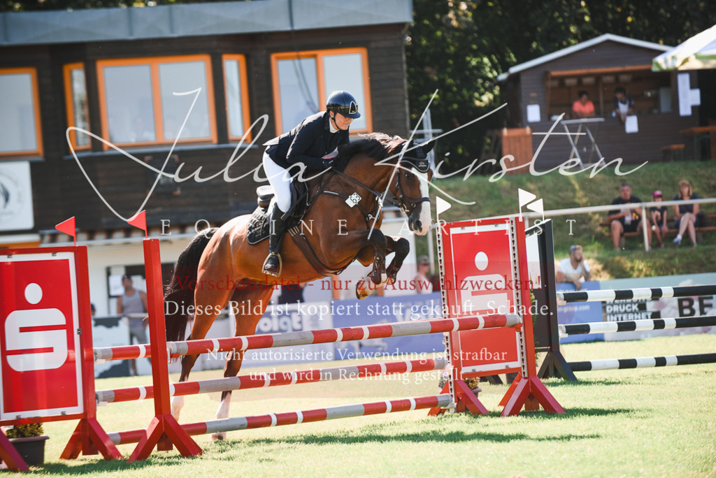 DSC_2460 | Pferde- und Turnierfotografie in Westsachsen. Pferdeportraits, Auftragszeichnungen und intuitive Kunst.