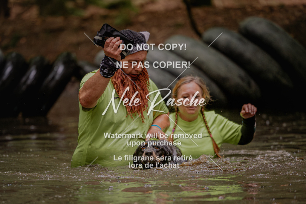 nelerasche_SaWingst1130-1200_74 | nelerasche