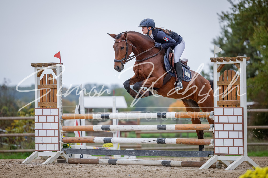 20251012-_3LI3950 | Tierfotografie Pferde, Hunde, Katzen, Haustiere.
Turnierfotografie Reitturniere, Reiten, Springreiten, Dressur in Hanau, dem Main-Kinzig-Kreis und dem Rhein-Main- Gebiet um Frankfurt