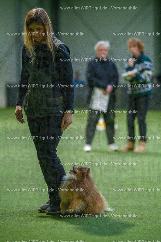 7R506829 | Professionelle Tierfotografie in Mönchengladbach von Daniel Wirth (allesWIRTHgut). Liebevolle & natürliche Bilder von Hunden & Katzen für unvergessliche Erinnerungen.