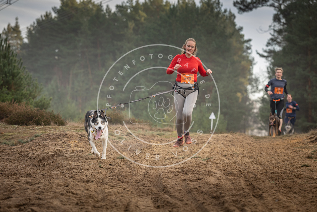 Pfotenfotografie_DV3A5503 | Hundefotografie, Tierfotograf, Pfotenfotografie, Fotoshooting Hund, Hunde Portrait, Hundesport, Hundeportraits, Heideshooting, Hunde, Sportfotograf, Hundefotograf, Turnierhundsport, THS,  - Realisiert mit Pictrs.com