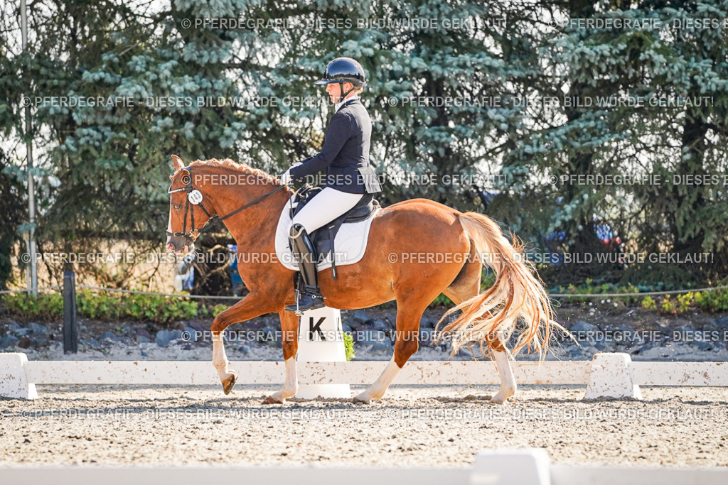 DSC00009 | Pferdegrafie