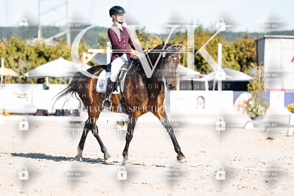 CK907581 | Turnierfotografie Pferdefotografie Trier Rheinland-Pfalz Pferdesport Reitsport Tierfotografie Sportfotografie Pferdevideo Pferdevideografie Equestrianvideography equestrianphotography  - Realisiert mit Pictrs.com