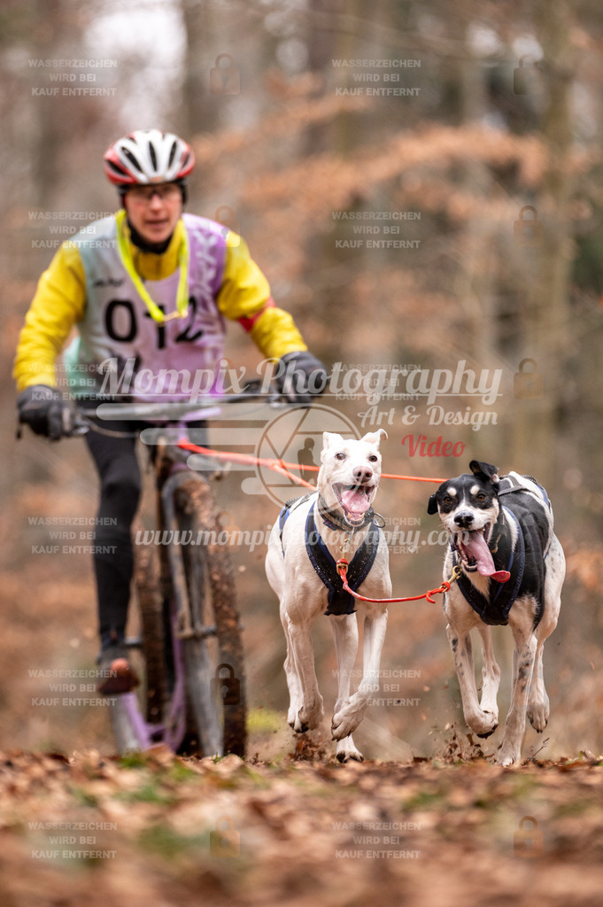 AKM_ST_2023_SAM_DS2-9 | PayLife