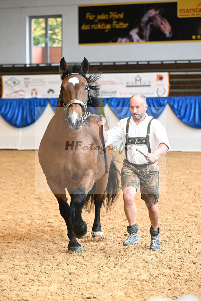 Kat-Nr. 74 Baronin_Kiening_53220328 | hf-fotografie - Realisiert mit Pictrs.com