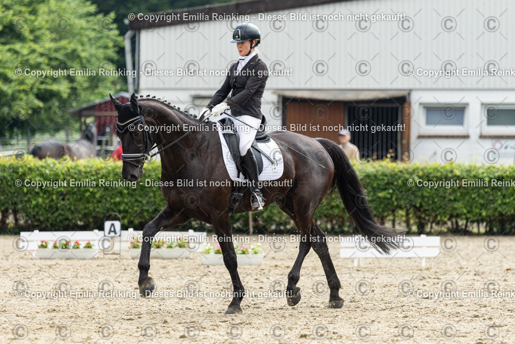 CL5A4554 | Emilia Reinking Fotografie - Realisiert mit Pictrs.com