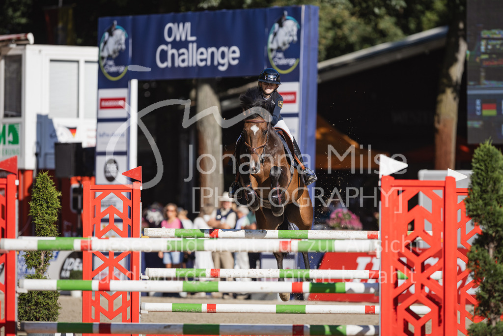 230908_OWLCh_AmateurL-339 | Deine schönsten Turniermomente als professionelle Fotos! Entdecke hochwertige Pferdesport-Fotografie im Online-Shop. Jetzt Fotos finden & bestellen!