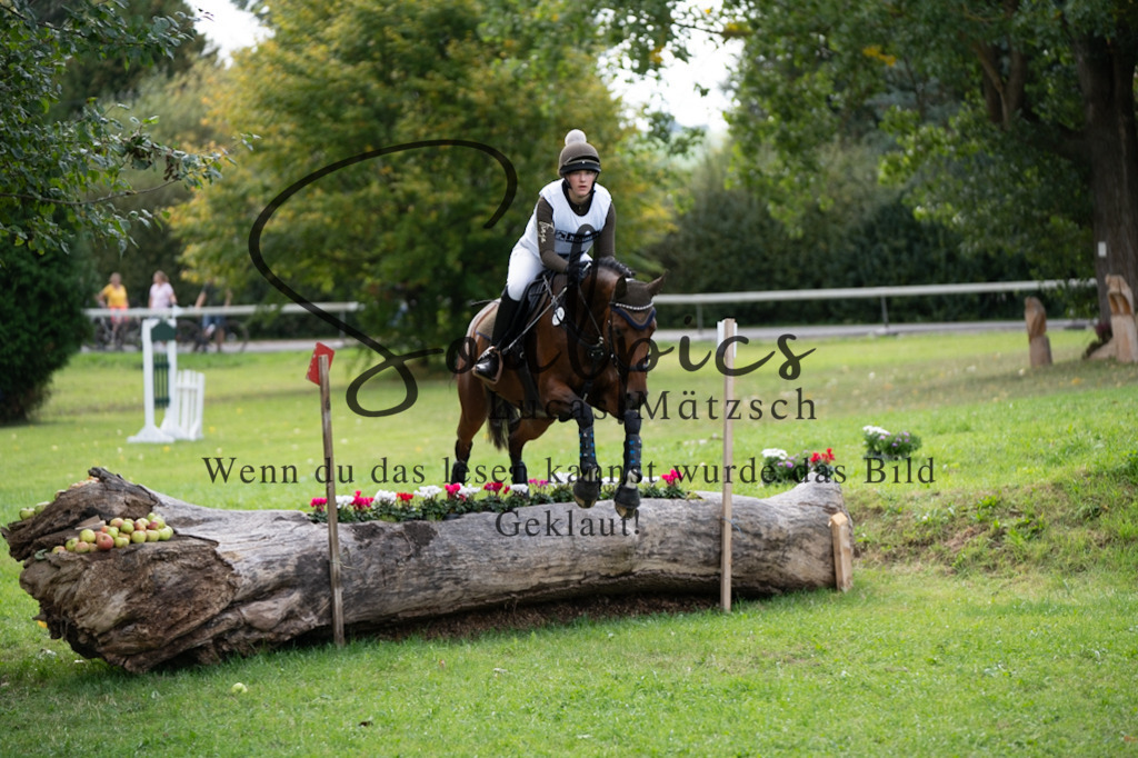 A7V03775 | Pferdefotograf