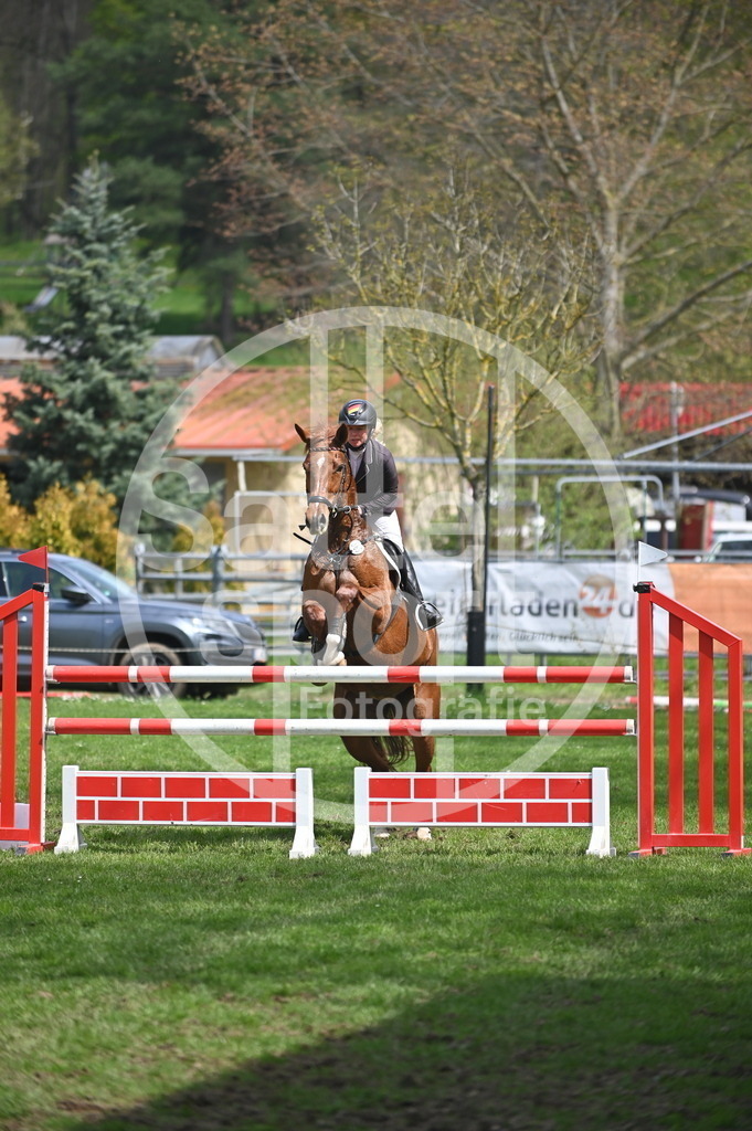 DSC_2534 | sattelsport - Realisiert mit Pictrs.com