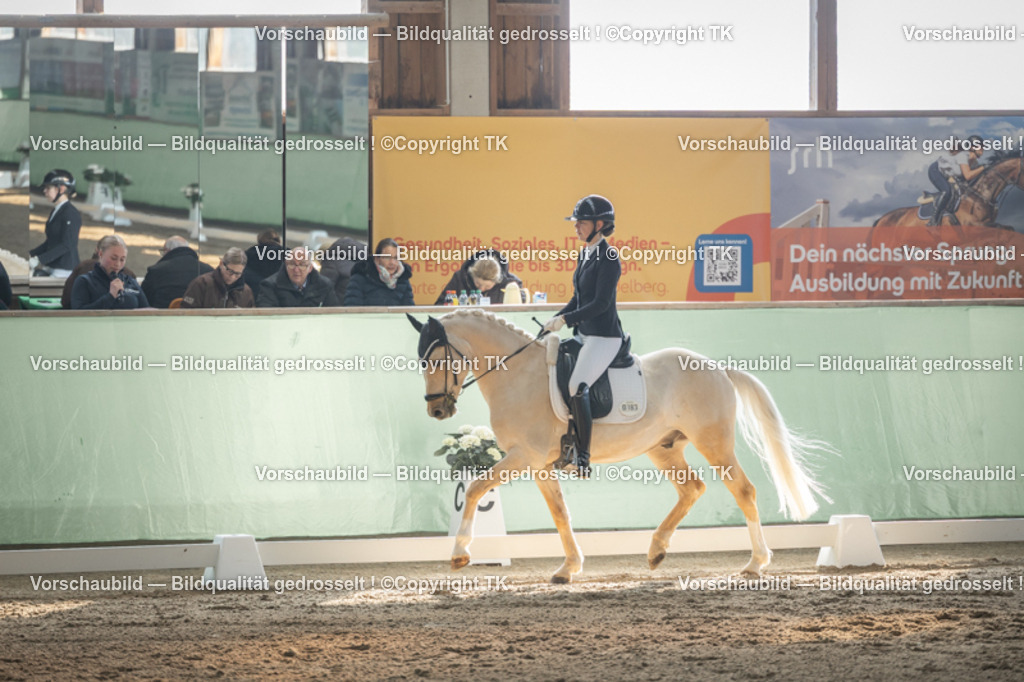 _D5A8187 | Emotionale Pferde- & People-Fotografie rund um Heidelberg, Leimen & Umgebung. Natürliche Fotos von Pferd, Mensch & Familie. Jetzt Termin sichern!